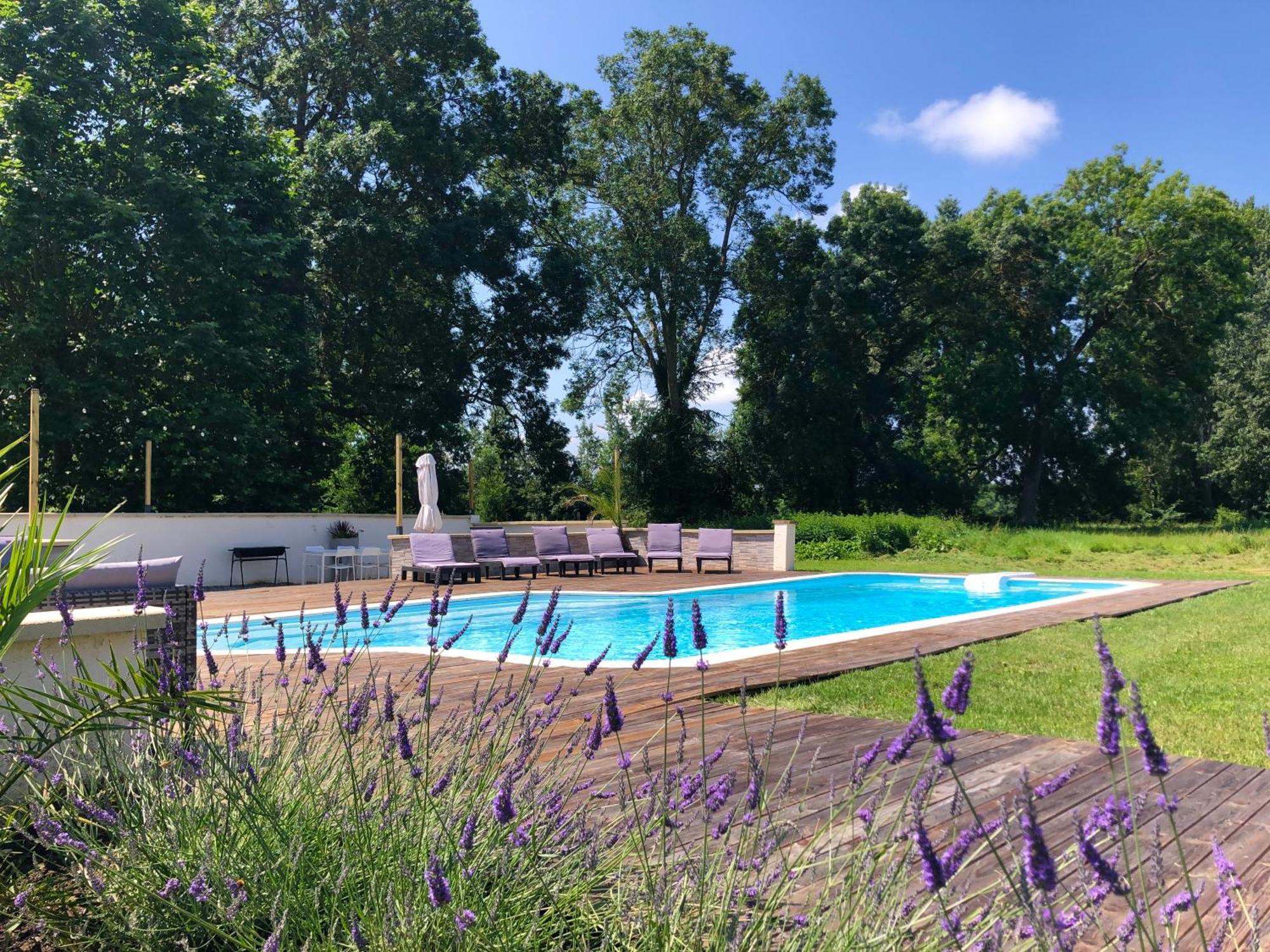 Château De La Coutère Saint-Laurent  Buitenkant foto